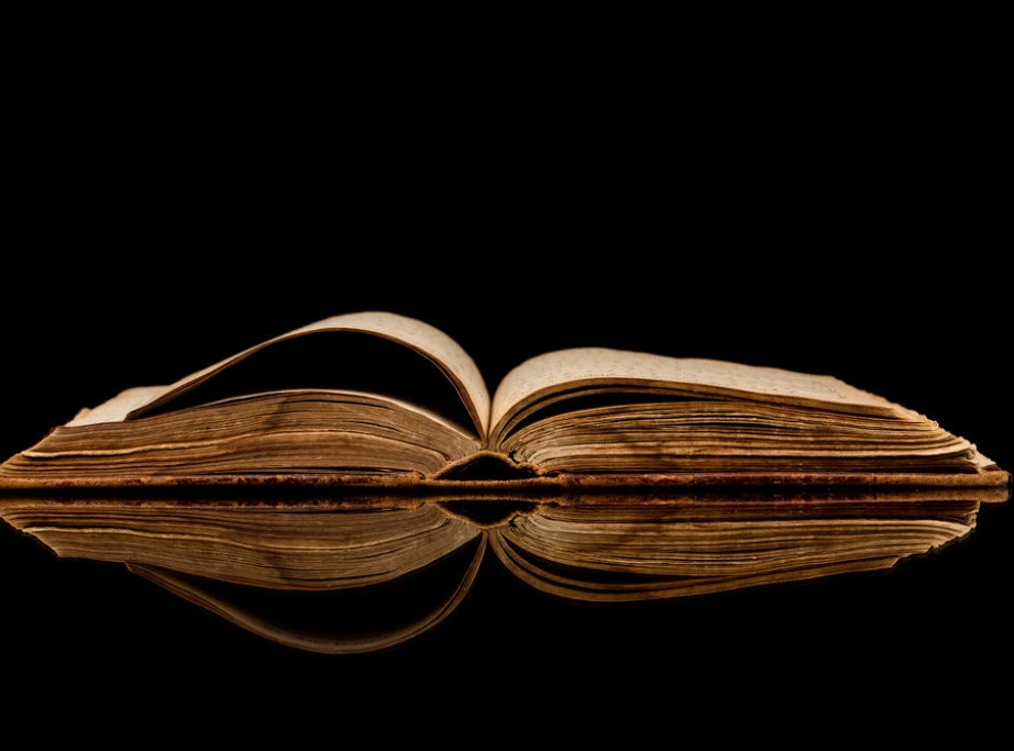 Награда Љубиша Рајић припала преводиоцу Алекси Николићу