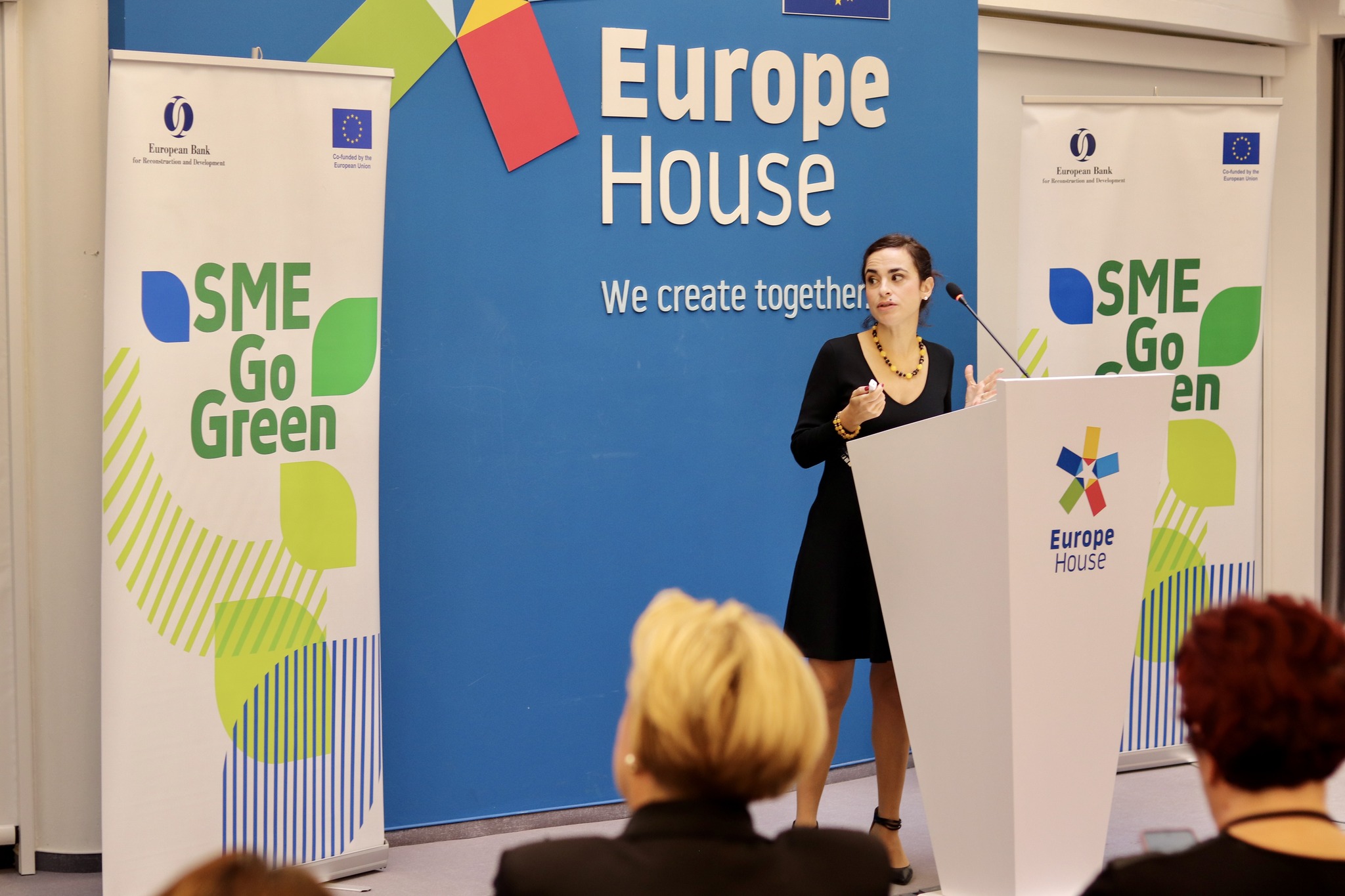 Покренут регионални програм „Go Green“