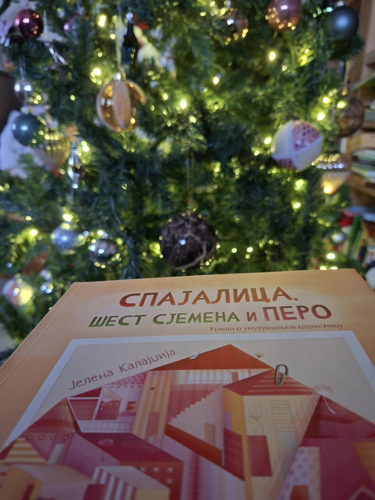 Дружење са књижевницом Јеленом Калајџија у Бијељини